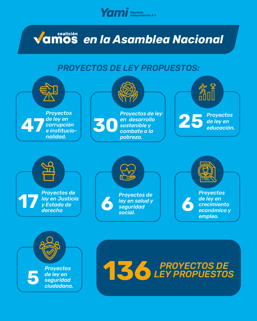 Carrusel 1 año de gestión - I